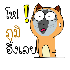 [LINEスタンプ] Name is Bhumi crazy