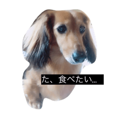 [LINEスタンプ] そらからの返事