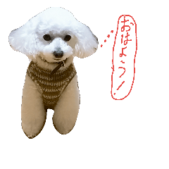 [LINEスタンプ] 島根ののあ