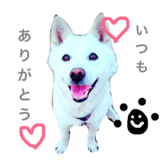 [LINEスタンプ] おこじII