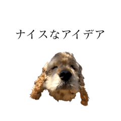 [LINEスタンプ] きなことマロン