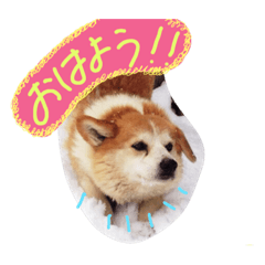 [LINEスタンプ] あんごの森の動物たち