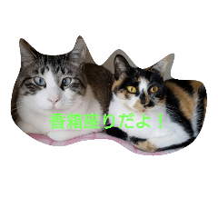 [LINEスタンプ] nekosan5