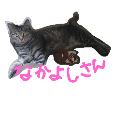 [LINEスタンプ] ひめぞう2