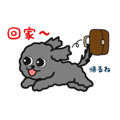 [LINEスタンプ] チワワ×プードル=チワプー 日本語 中国語