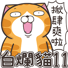 [LINEスタンプ] ランラン猫 11 (台湾版)