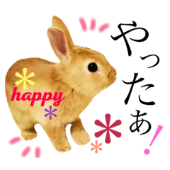 [LINEスタンプ] Mugyu！＊うさぎ＊よくつかうことば＊①