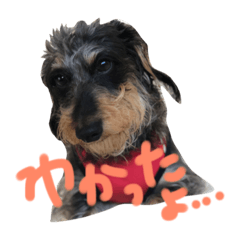 [LINEスタンプ] ちゃちゃ のんのん