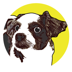 [LINEスタンプ] I'm a international Shih Tzu dog