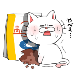 [LINEスタンプ] もちまるねこ