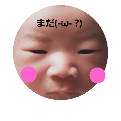 [LINEスタンプ] ぶんちゃんちゃんちゃんちゃん