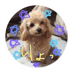 [LINEスタンプ] ぷぷらら