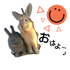 [LINEスタンプ] うさぎstamp kids