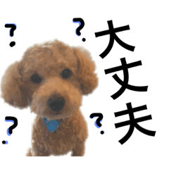 [LINEスタンプ] ぷぷとおはちゃん