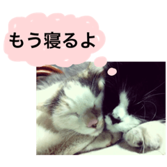 [LINEスタンプ] あらいんち