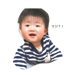 [LINEスタンプ] はやたのすたんぷ