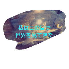 [LINEスタンプ] 悟った金魚