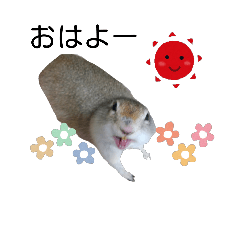 [LINEスタンプ] リチャさん