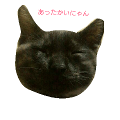 [LINEスタンプ] にゃんほわ