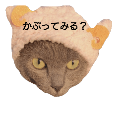 [LINEスタンプ] グレちゃんです