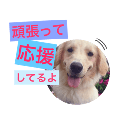 [LINEスタンプ] つくたんの日常スタンプ第二弾