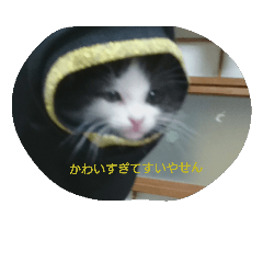 [LINEスタンプ] かわいすぎてすいやせん