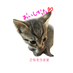 [LINEスタンプ] こねこのふう