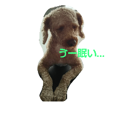 [LINEスタンプ] 犬！！！