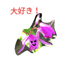 [LINEスタンプ] 朝の花