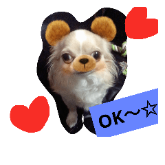 [LINEスタンプ] 犬組☆