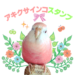 [LINEスタンプ] アキクサインコスタンプ！