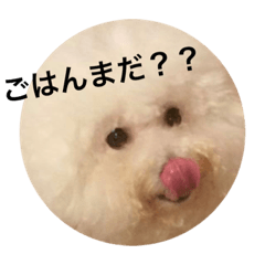 [LINEスタンプ] ブラン