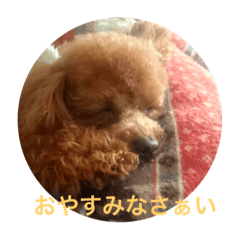 [LINEスタンプ] 我が家の愛犬マロン