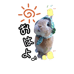 [LINEスタンプ] うさぎのみかん 1