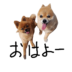 [LINEスタンプ] めいはうす4