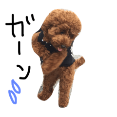 [LINEスタンプ] ぷあスタンプ2