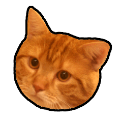 [LINEスタンプ] 猫カフェ「flat-tail」の猫たち