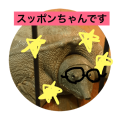 [LINEスタンプ] うちのペット、、、エキゾチックアニマル様