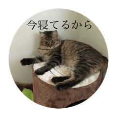 [LINEスタンプ] つくねとぽんず