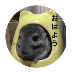 [LINEスタンプ] ちんちら家