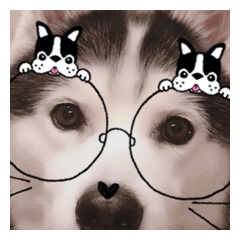 [LINEスタンプ] 愛する犬たち、その2