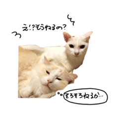 [LINEスタンプ] パンちゃんランちゃん