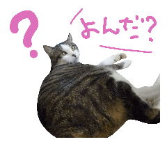 [LINEスタンプ] ちびねん