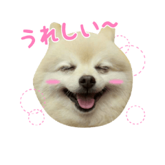 [LINEスタンプ] モフモフポメ ミルキーのき・も・ち♡