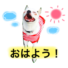 [LINEスタンプ] 大福と仲間たち