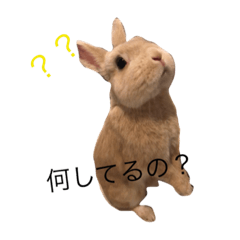 [LINEスタンプ] ハカセ