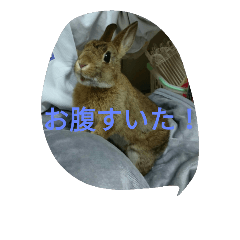 [LINEスタンプ] 可愛いうさちゃん