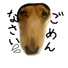 [LINEスタンプ] チロ～すけ3