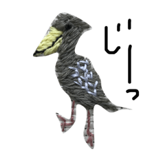 [LINEスタンプ] 鳥から一言の画像（メイン）