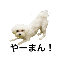 [LINEスタンプ] ティム2